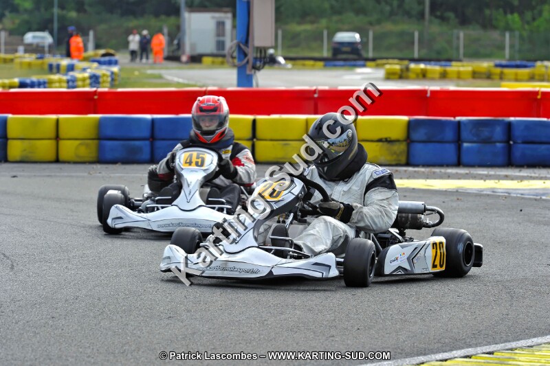 DSC_ (1226).jpg